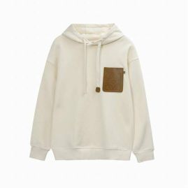 Picture of Loewe Hoodies _SKULoeweS-XLhltn0111005